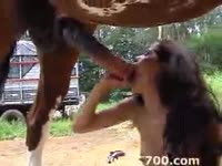 Two horny sluts sharing big horse dick in zoofilia porn